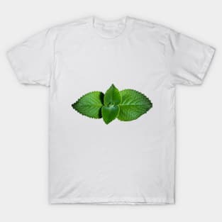 green plant T-Shirt